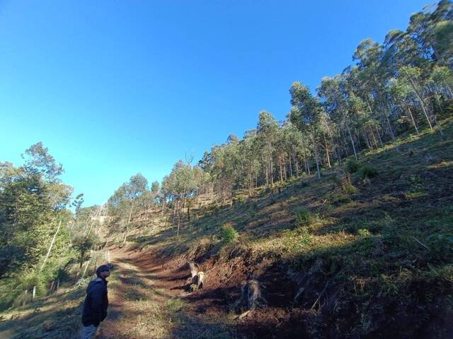 Área para Venda em Camanducaia - 4