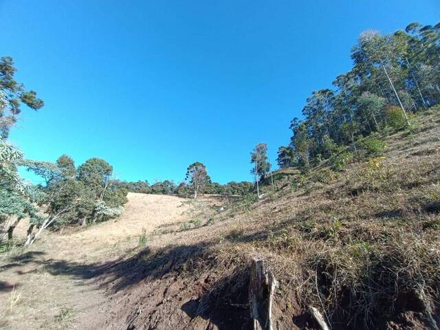 Área para Venda em Camanducaia - 5