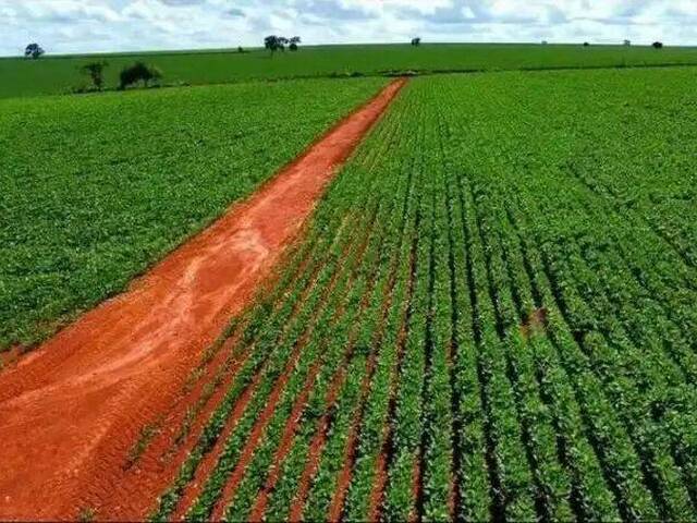 Fazenda para Venda em Tatuí - 2