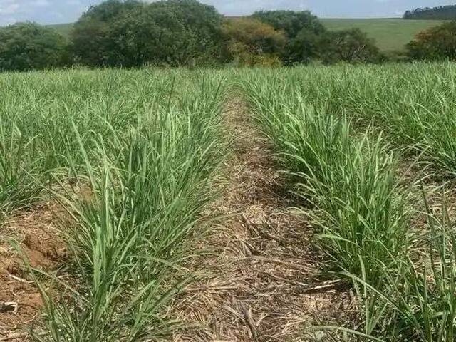 Fazenda para Venda em Tatuí - 5