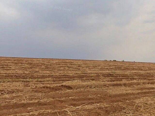 Fazenda para Venda em Porto Feliz - 4