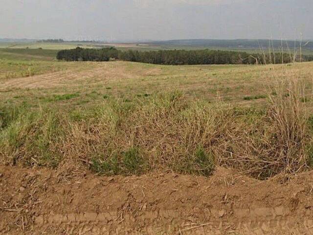 Fazenda para Venda em Porto Feliz - 5