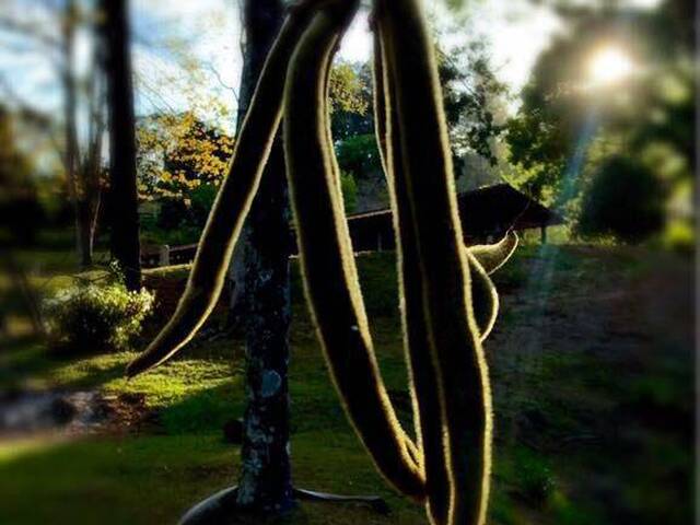 Sítio para Venda em Extrema - 5