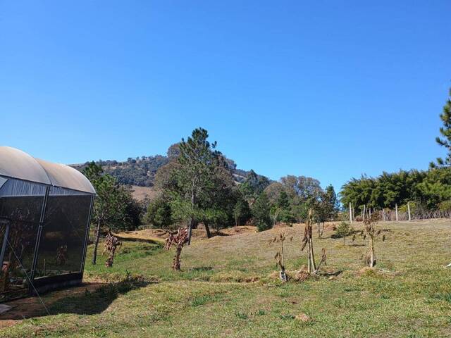 Sítio para Venda em Itapeva - 5