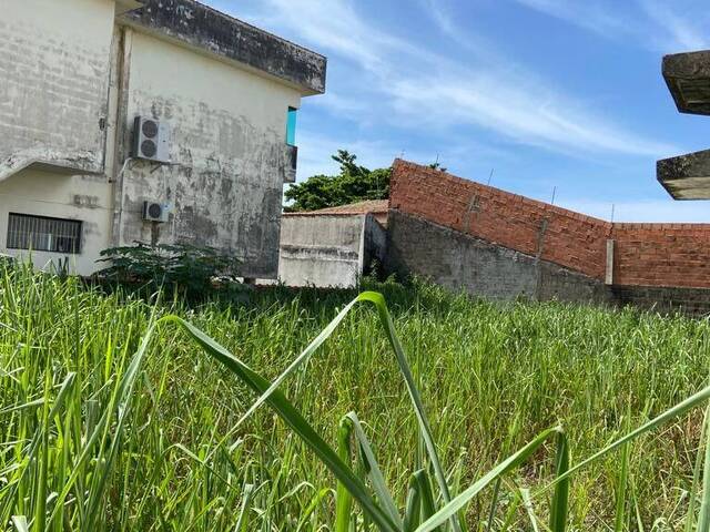 Terreno para Venda em Peruíbe - 4