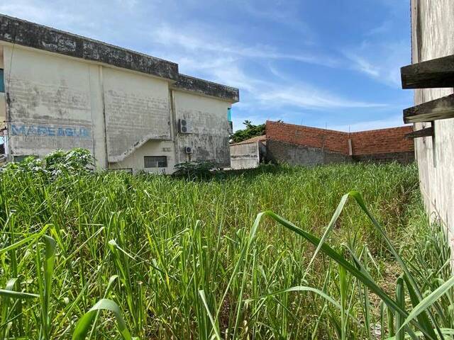 Terreno para Venda em Peruíbe - 5