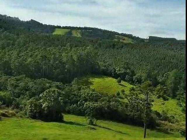 Venda em Bairro do Selado - Camanducaia
