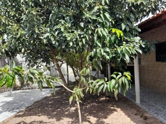 Venda em Vila São Paulo - Itanhaém