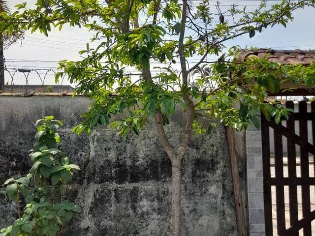 Casa para Venda em Itanhaém - 4