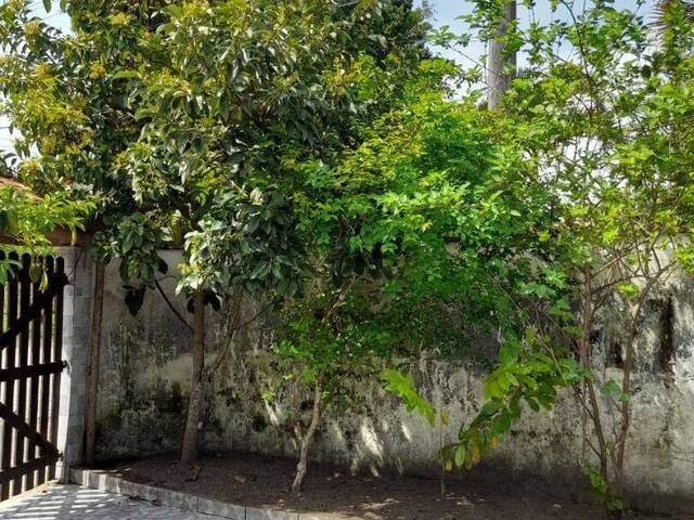 Casa para Venda em Itanhaém - 5