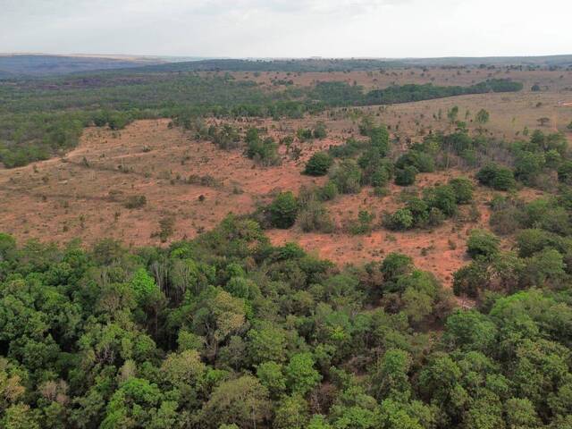 Fazenda para Venda em Guiratinga - 2
