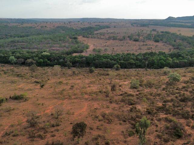 Fazenda para Venda em Guiratinga - 3