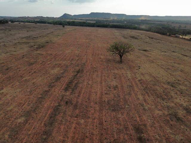 Fazenda para Venda em Guiratinga - 4