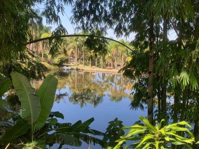 Sítio para Venda em Mogi das Cruzes - 5