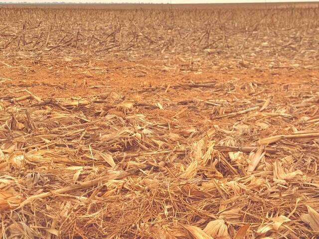 Fazenda para Venda em Querência - 2