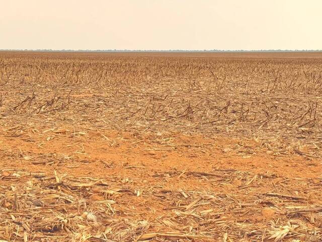 Fazenda para Venda em Querência - 3
