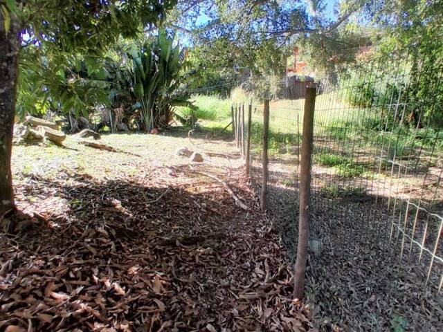 Terreno para Venda em Ilhabela - 3