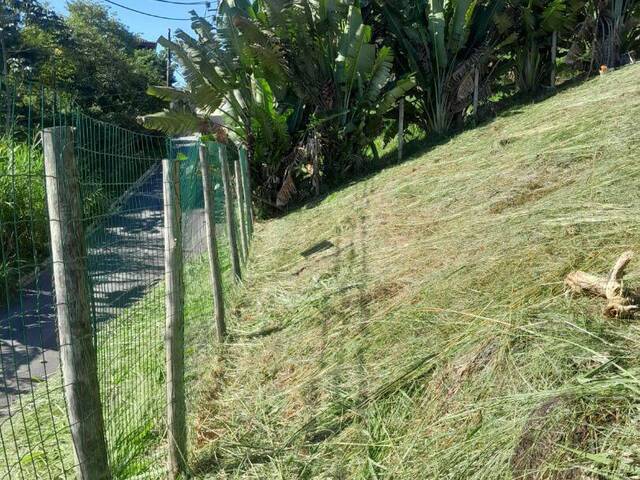 Terreno para Venda em Ilhabela - 4