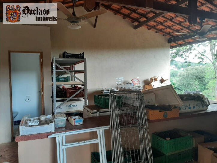 Sítio à venda com 6 quartos, 450m² - Foto 98