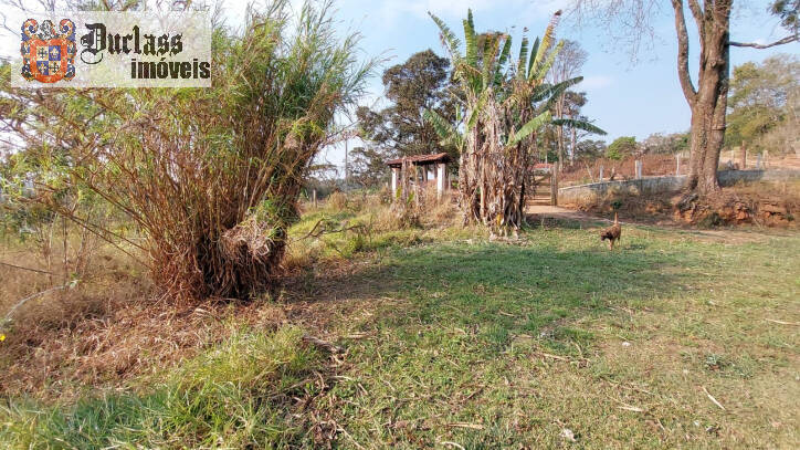 Sítio à venda com 6 quartos, 450m² - Foto 134