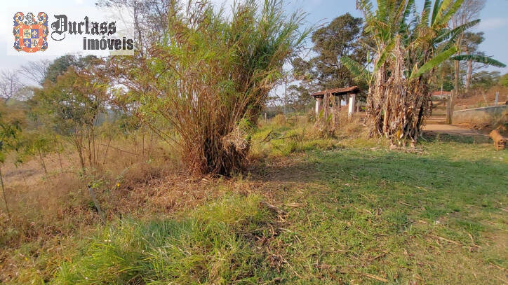 Sítio à venda com 6 quartos, 450m² - Foto 135