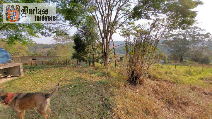 Sítio à venda com 6 quartos, 450m² - Foto 139
