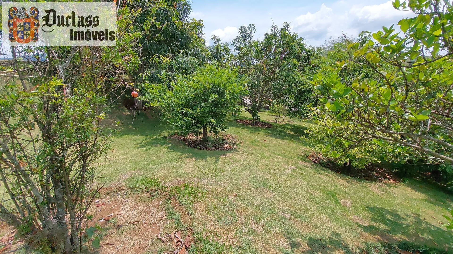 Chácara à venda com 4 quartos, 272m² - Foto 34