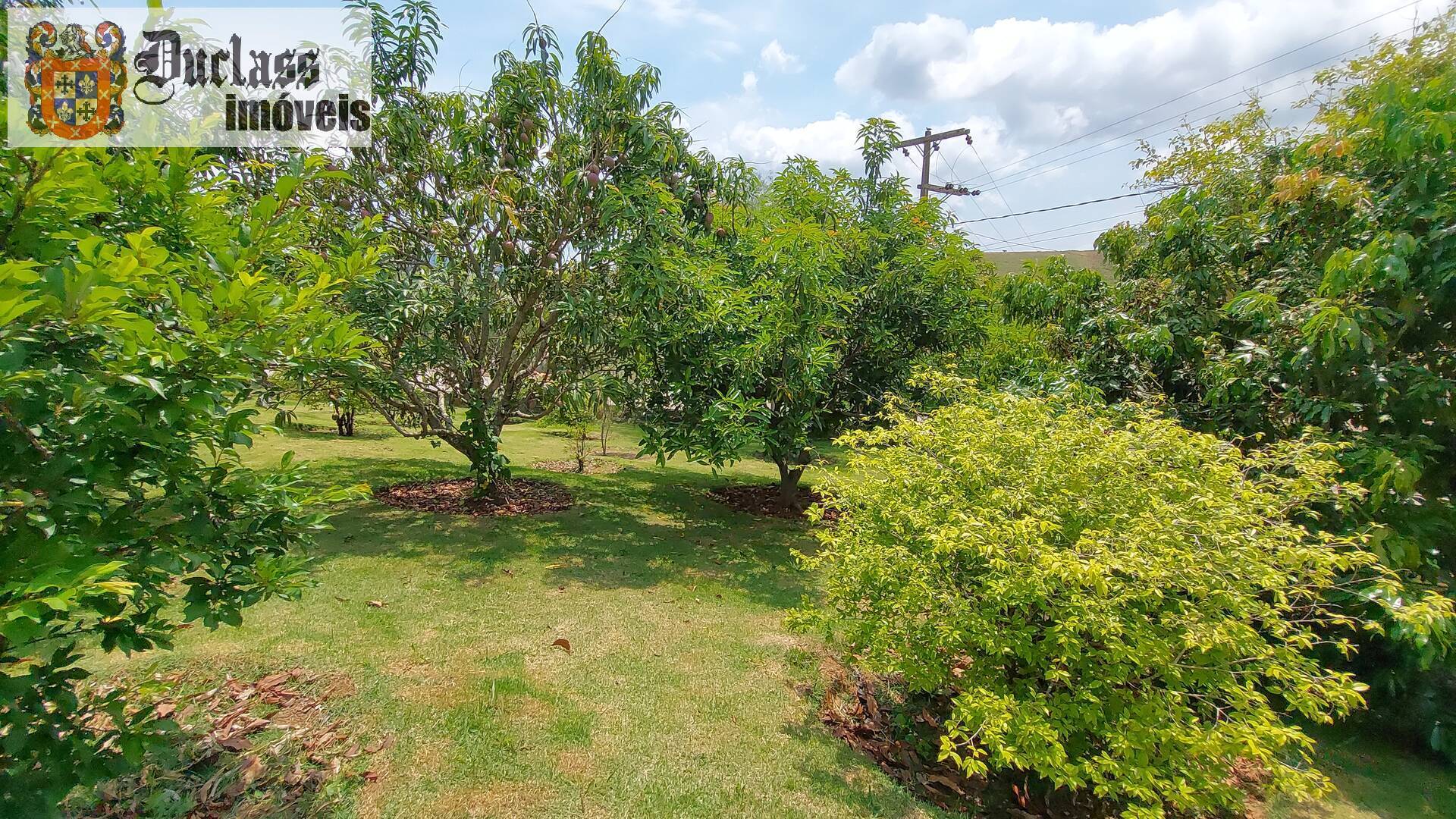Chácara à venda com 4 quartos, 272m² - Foto 36