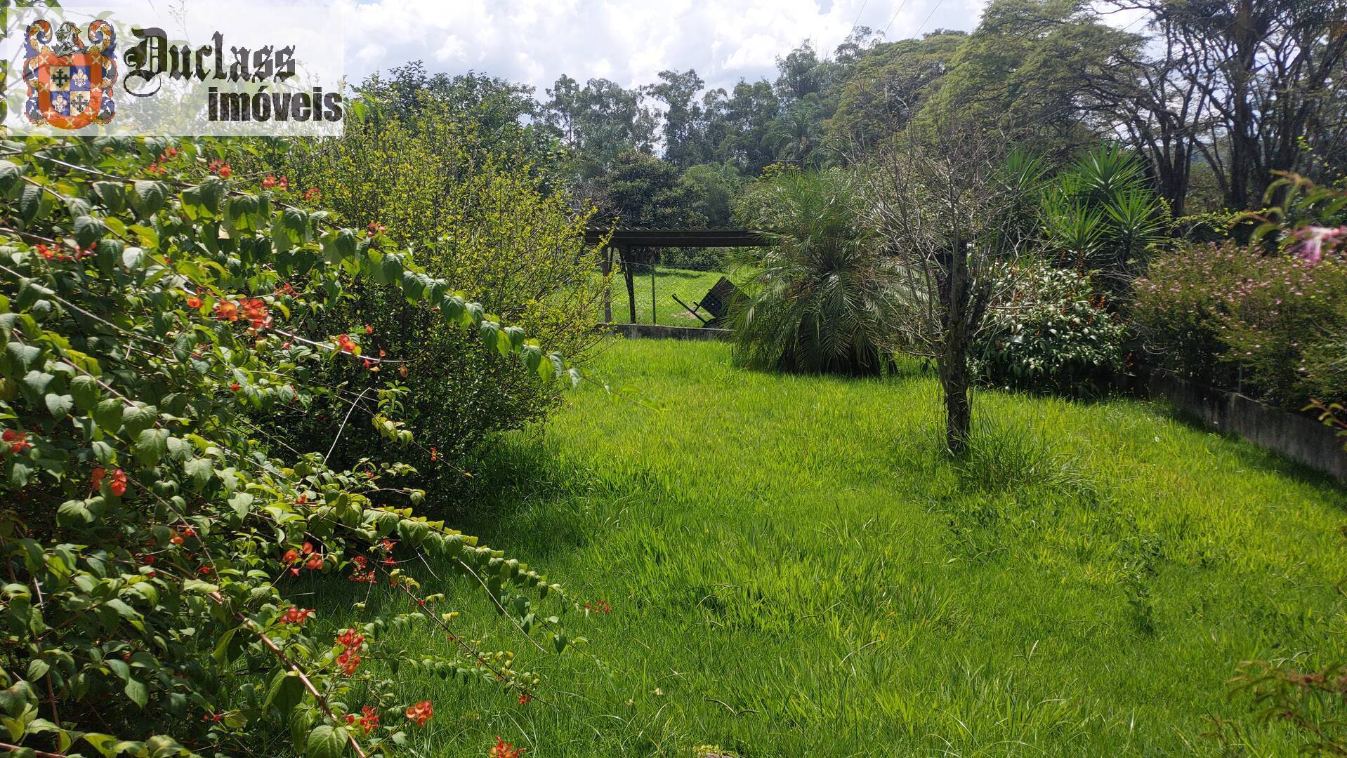 Sítio à venda com 4 quartos, 641m² - Foto 96