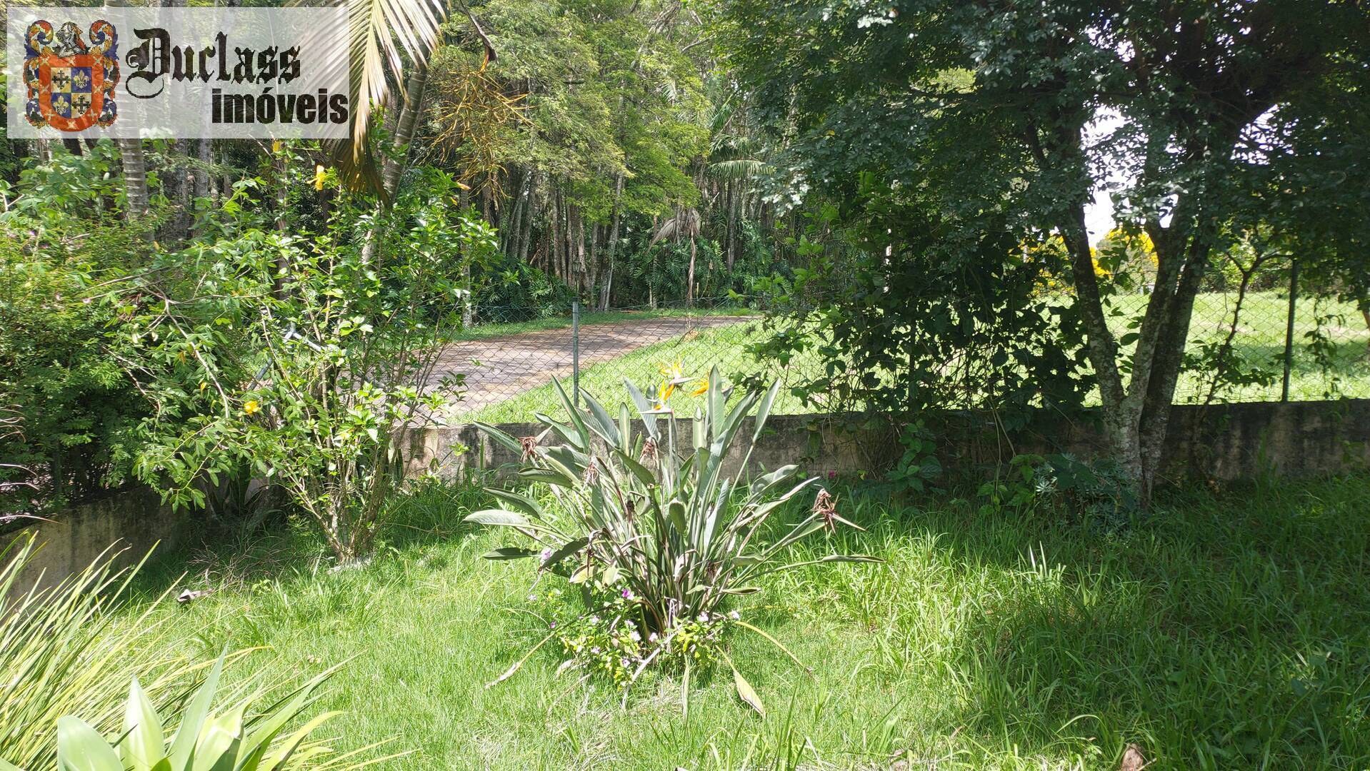 Sítio à venda com 4 quartos, 641m² - Foto 99