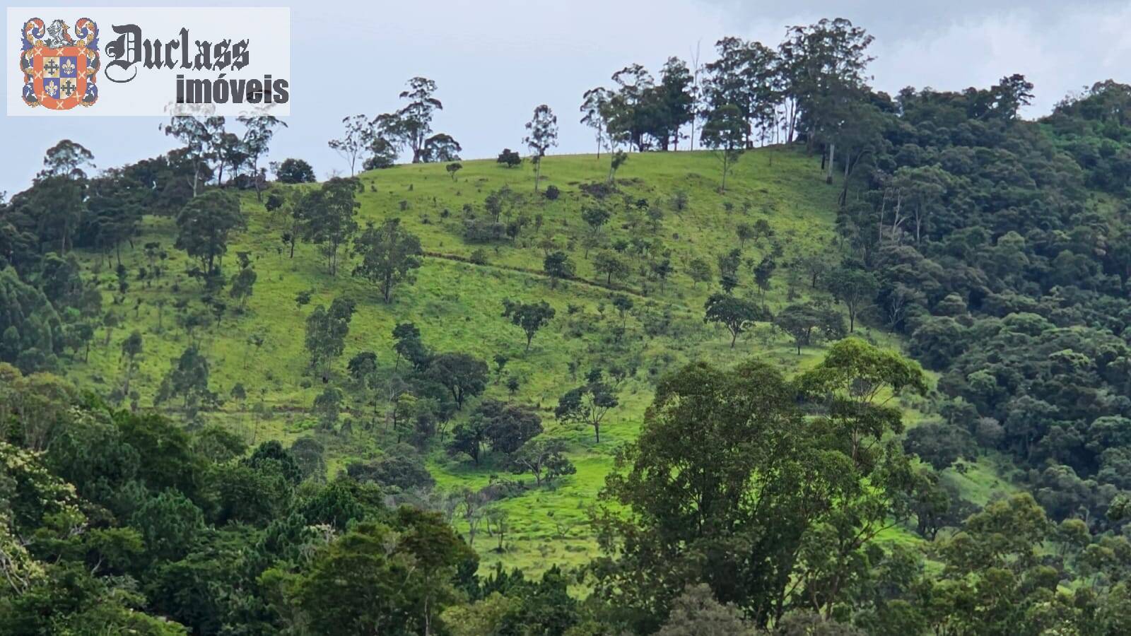 Prédio Inteiro - Foto 3