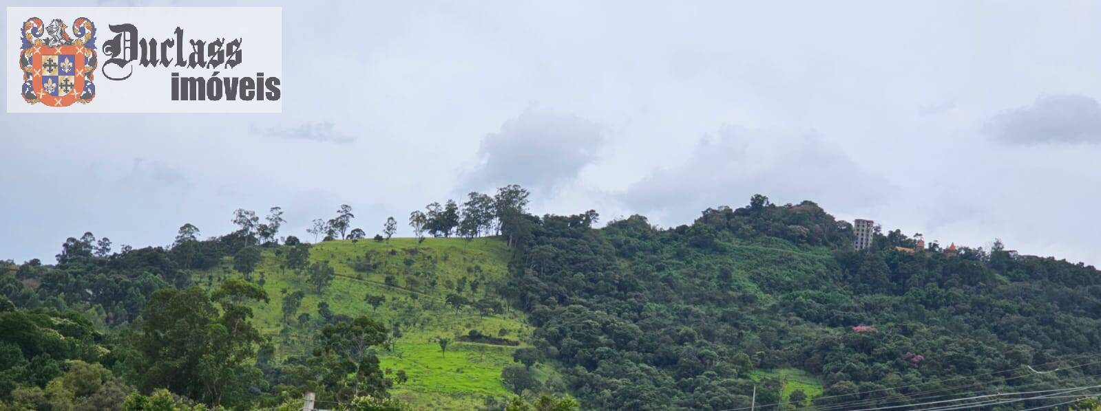 Prédio Inteiro - Foto 4