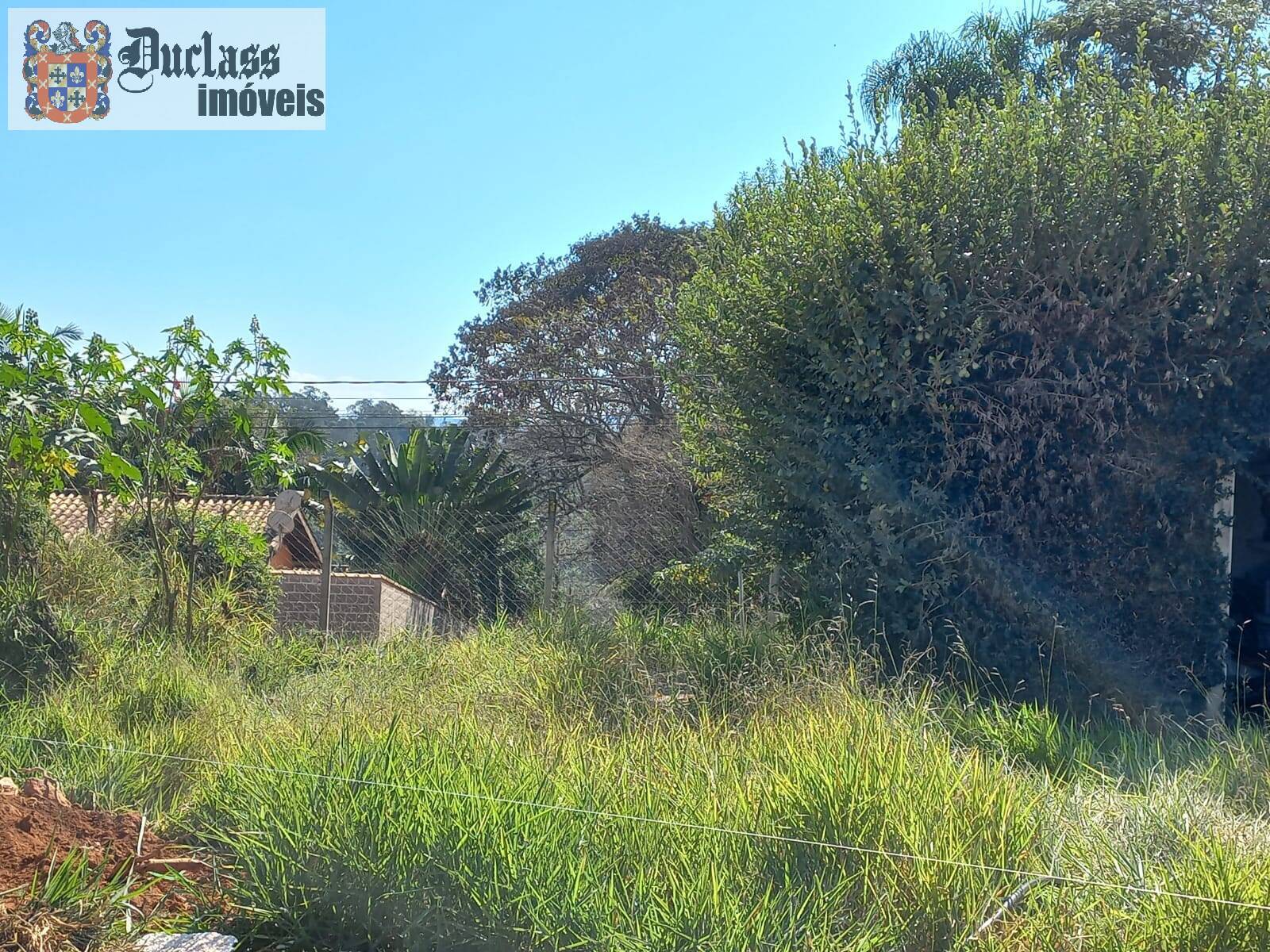 Terreno, 3753 m² - Foto 15