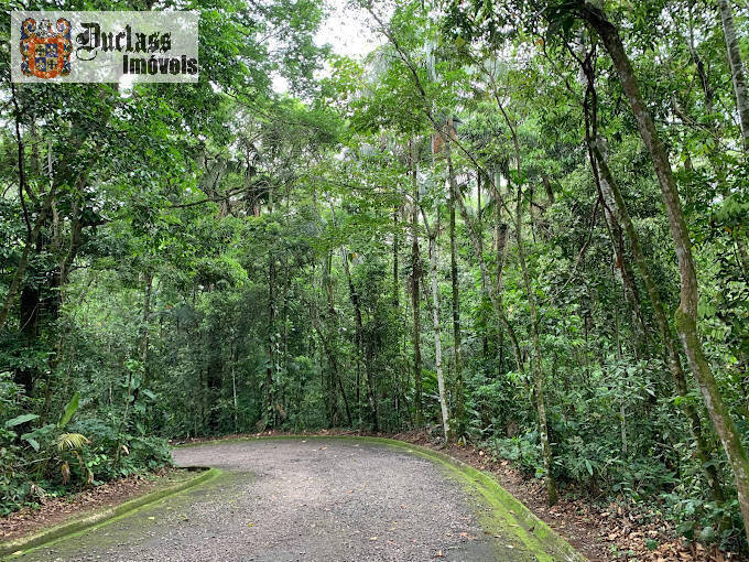 Casa, 5 quartos, 256 m² - Foto 24