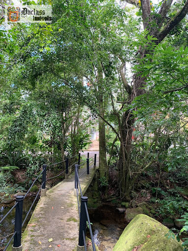 Casa, 5 quartos, 256 m² - Foto 25