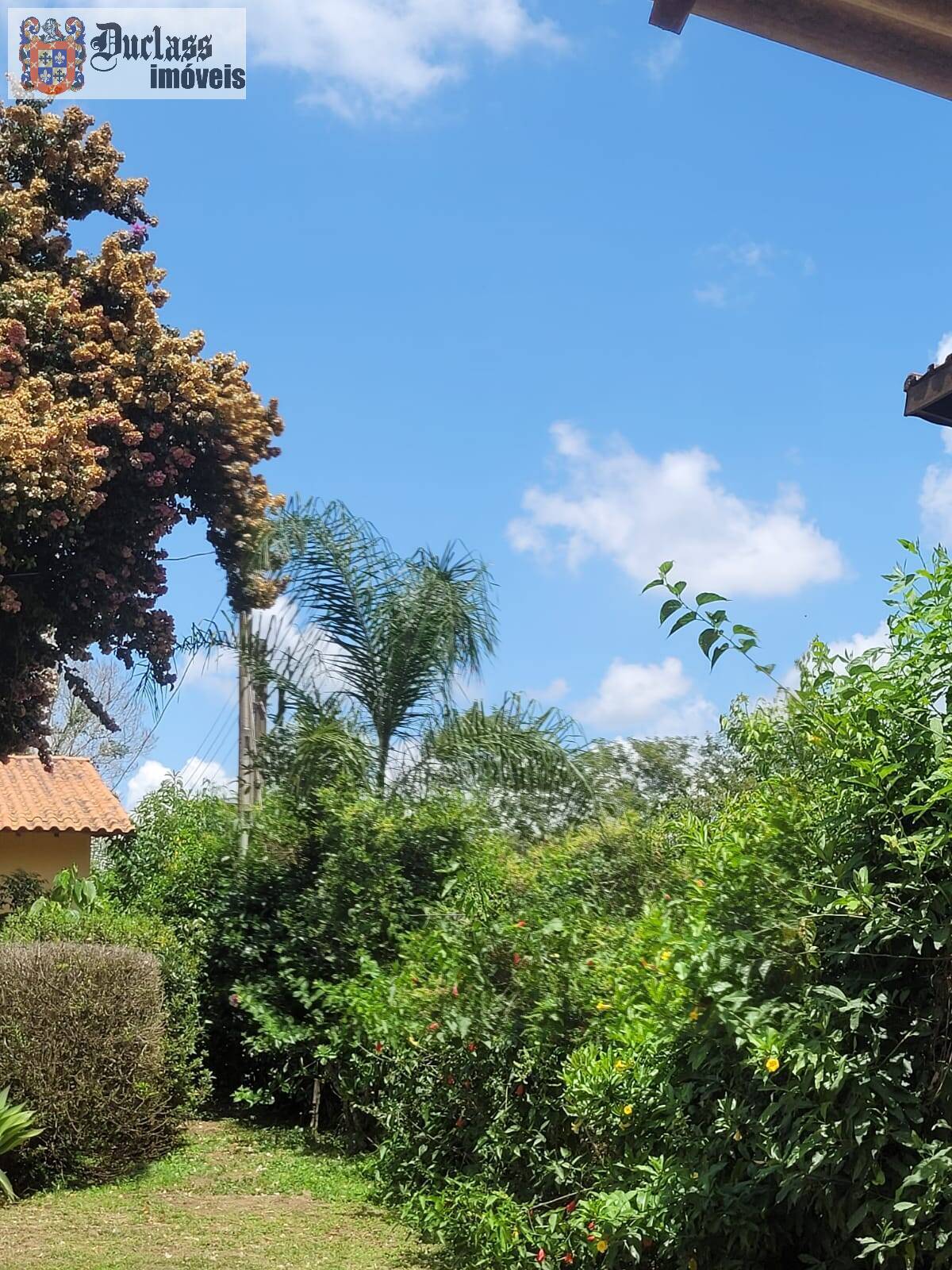 Chácara à venda com 3 quartos, 150m² - Foto 9