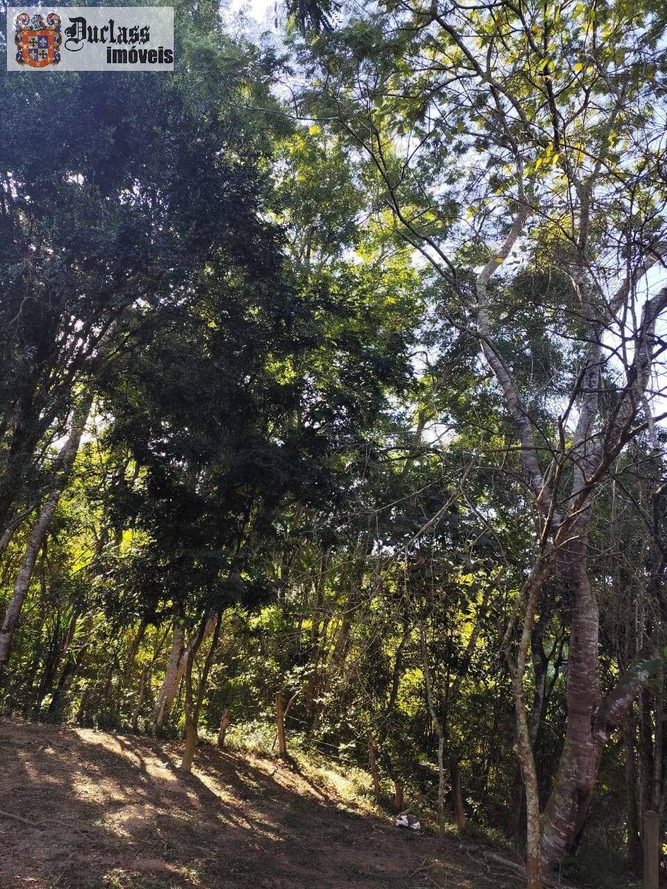 Chácara à venda com 3 quartos, 150m² - Foto 14