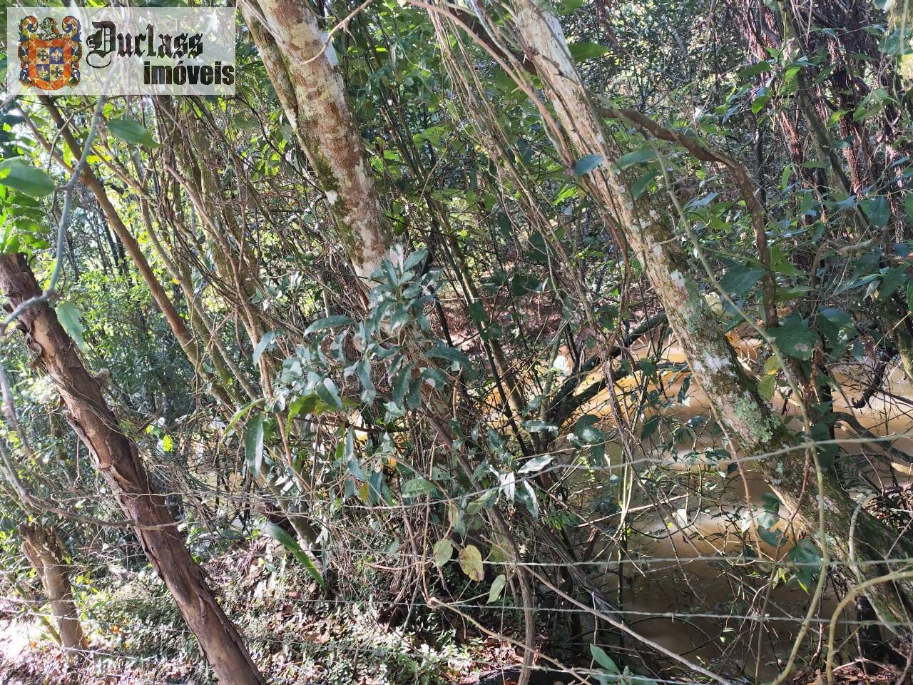 Chácara à venda com 3 quartos, 150m² - Foto 26