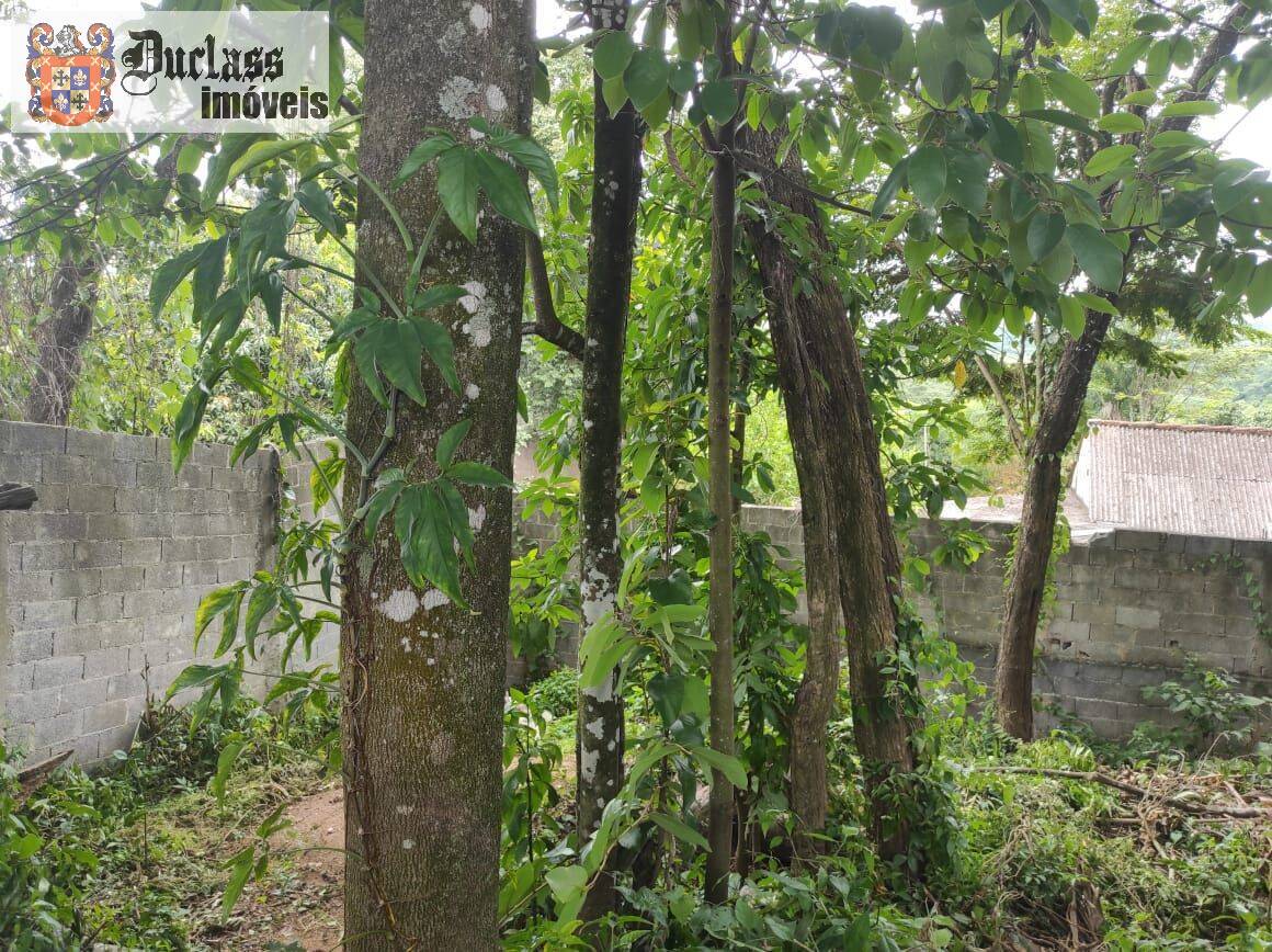 Chácara à venda com 4 quartos, 371m² - Foto 43