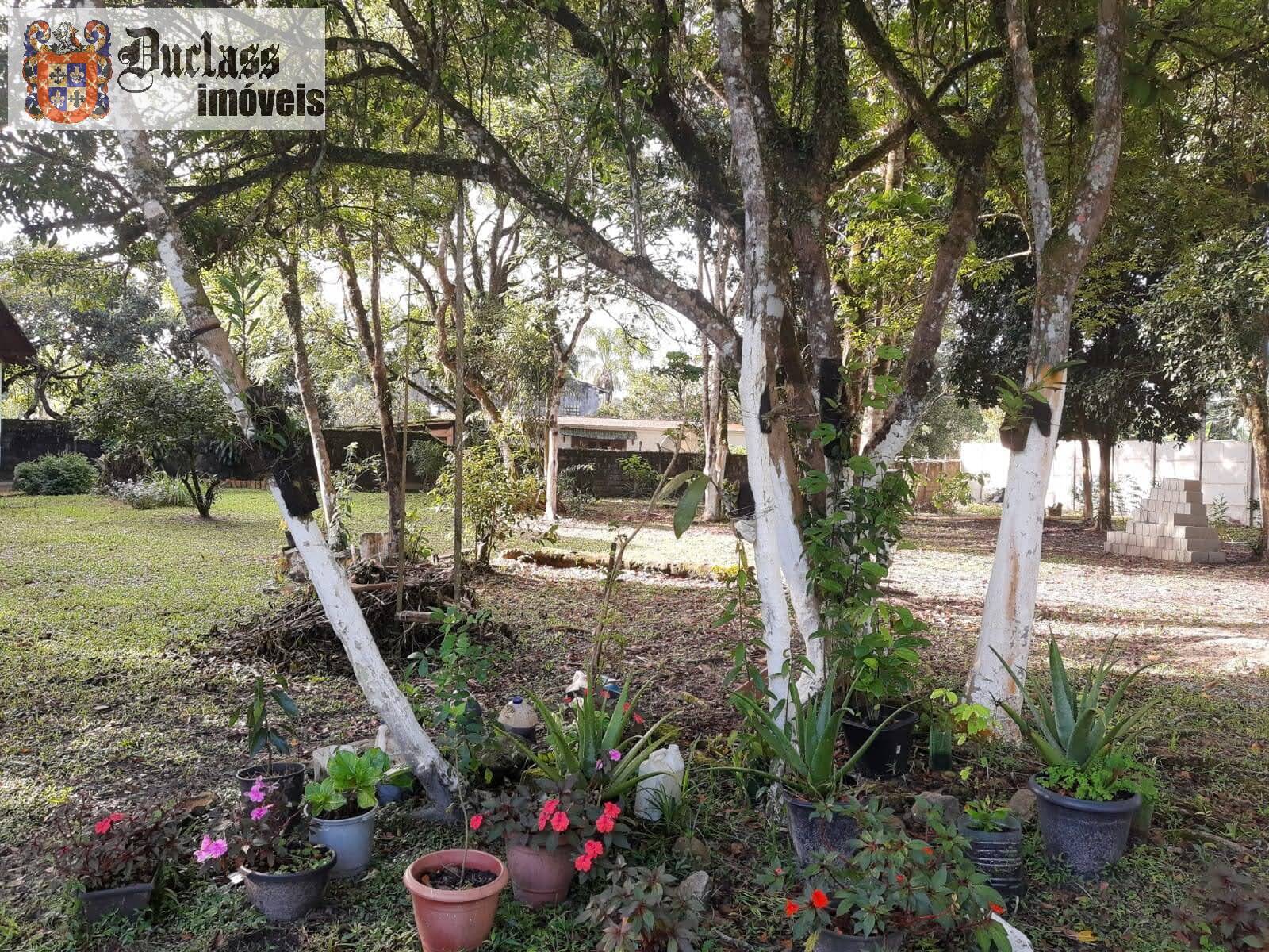 Chácara, 5 quartos, 7000 m² - Foto 11