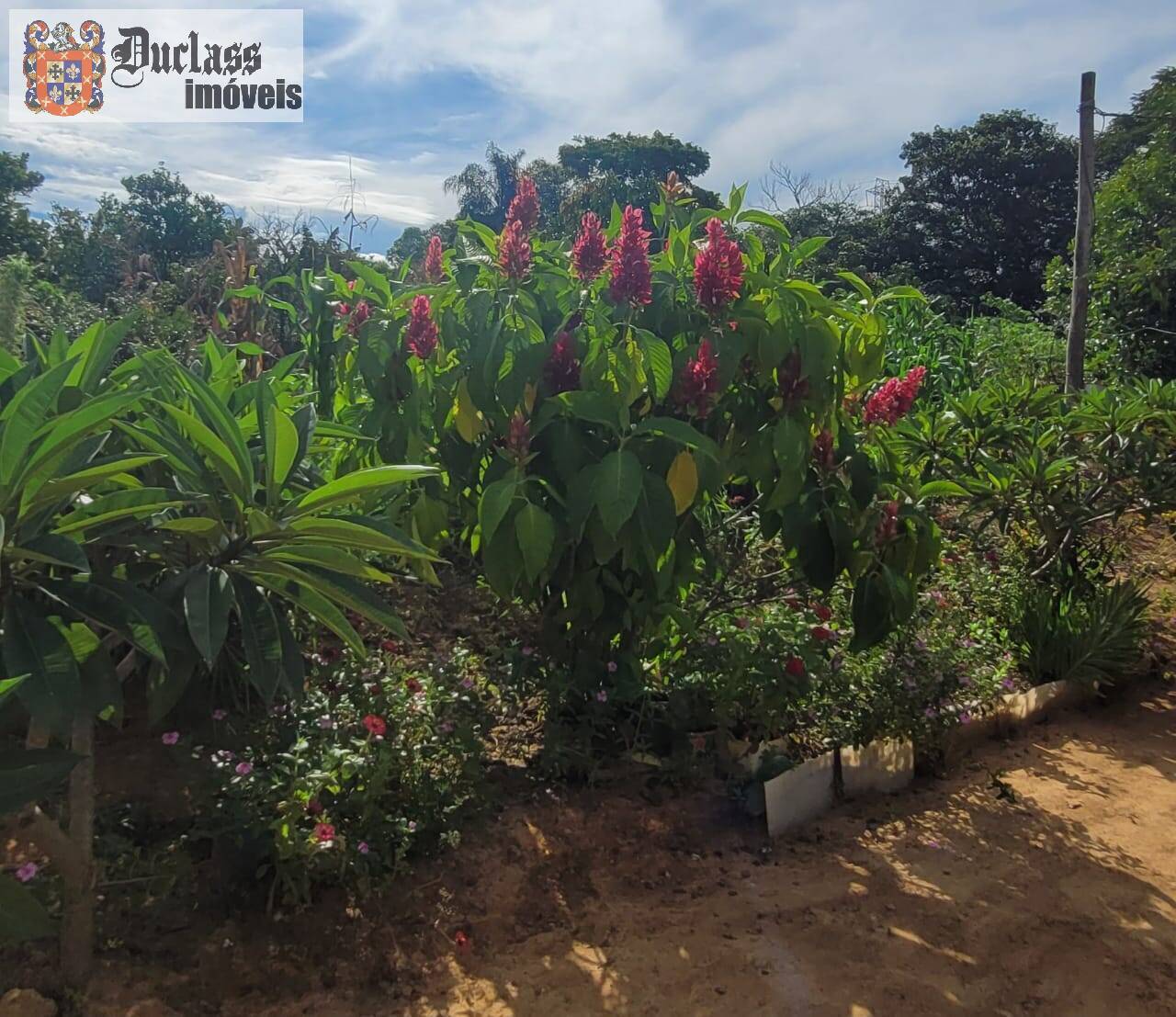 Sítio à venda com 2 quartos, 44500m² - Foto 7
