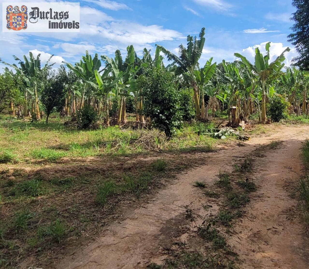 Sítio à venda com 2 quartos, 44500m² - Foto 38