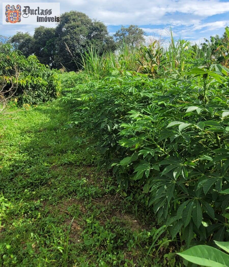 Sítio à venda com 2 quartos, 44500m² - Foto 37