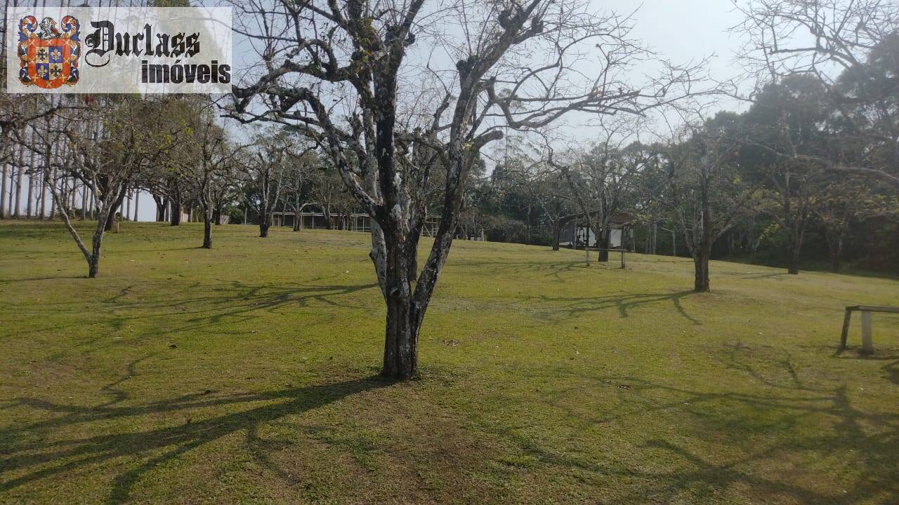 Terreno, 15 hectares - Foto 4
