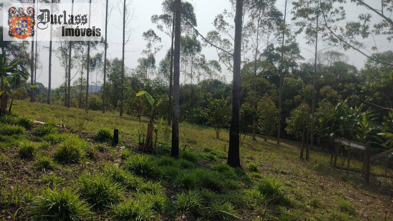 Terreno, 15 hectares - Foto 19