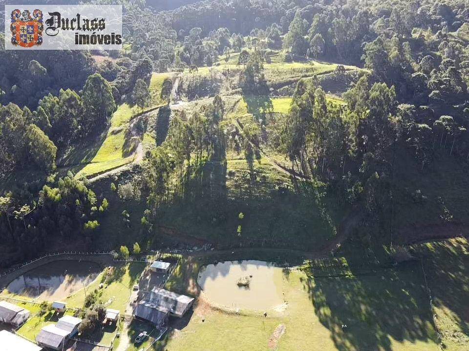Terreno à venda, 200000m² - Foto 9