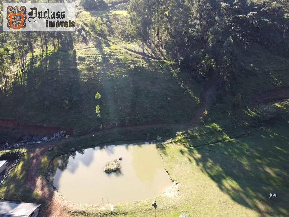 Terreno à venda, 200000m² - Foto 7