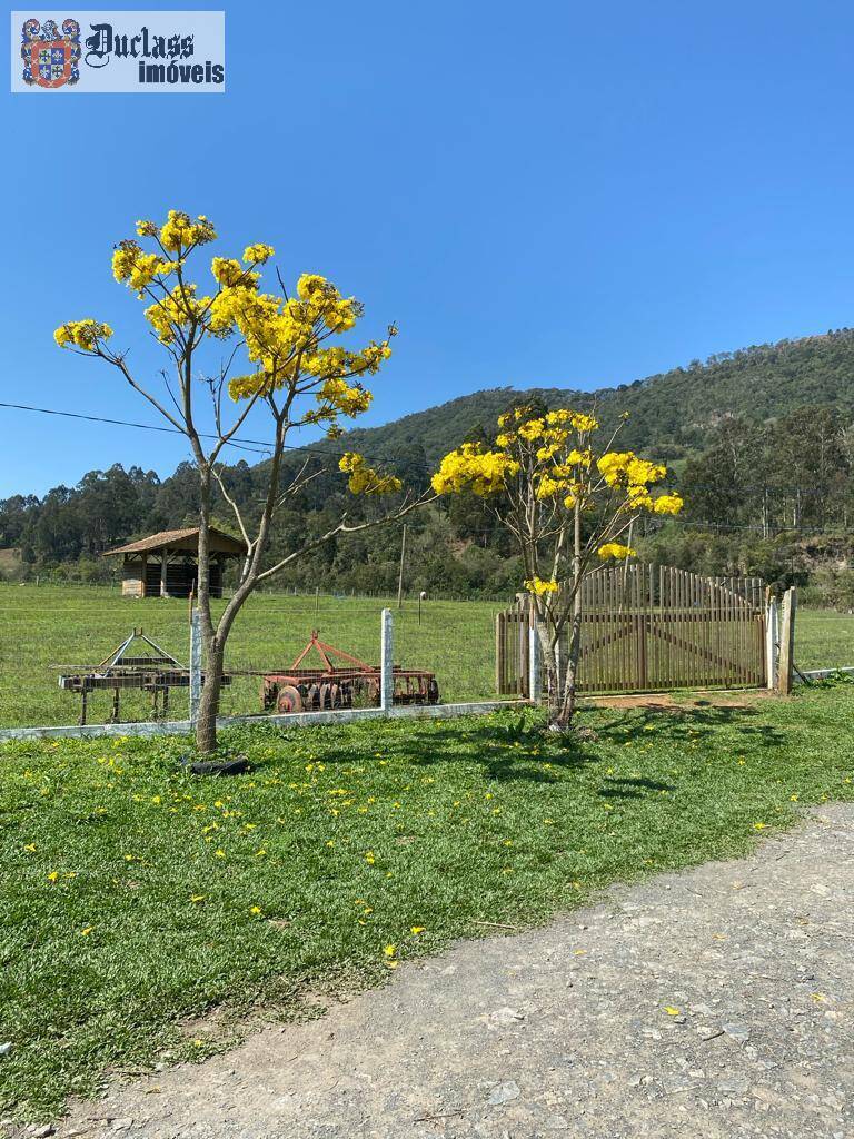 Terreno à venda, 200000m² - Foto 42