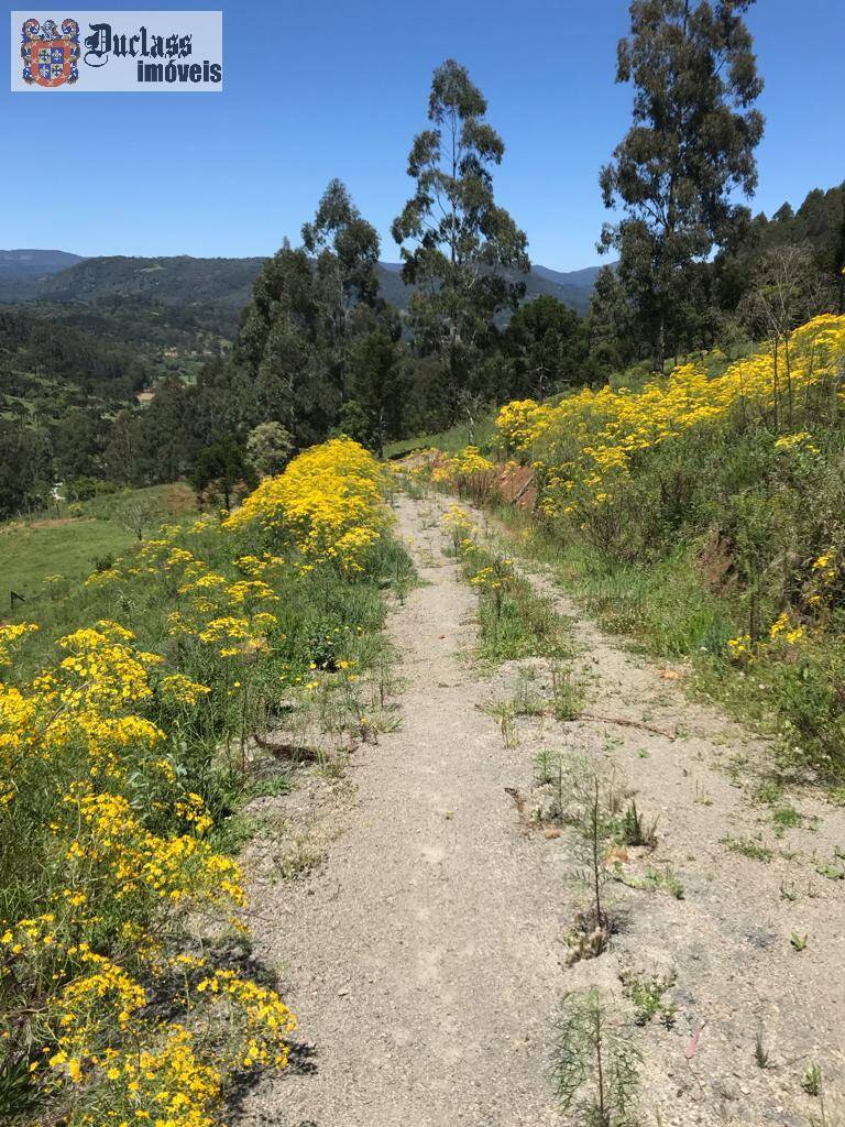 Terreno à venda, 200000m² - Foto 40