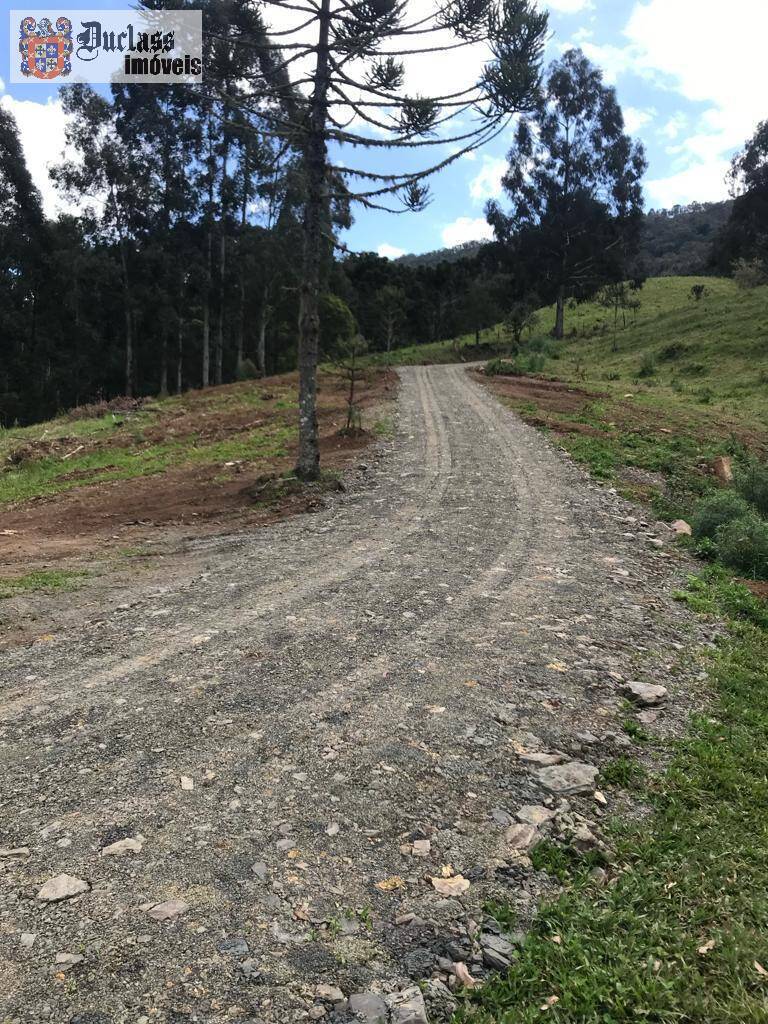 Terreno à venda, 200000m² - Foto 44